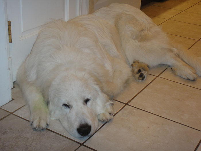 Nelson at 8 Months